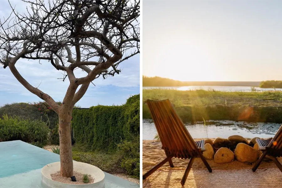 Los 3 mejores hoteles con vista al mar en el Pueblo Mágico de Todos Santos, según Booking