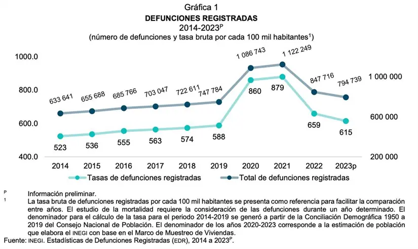 imagen recuadro Gráfica mortalidad. Foto: INEGI