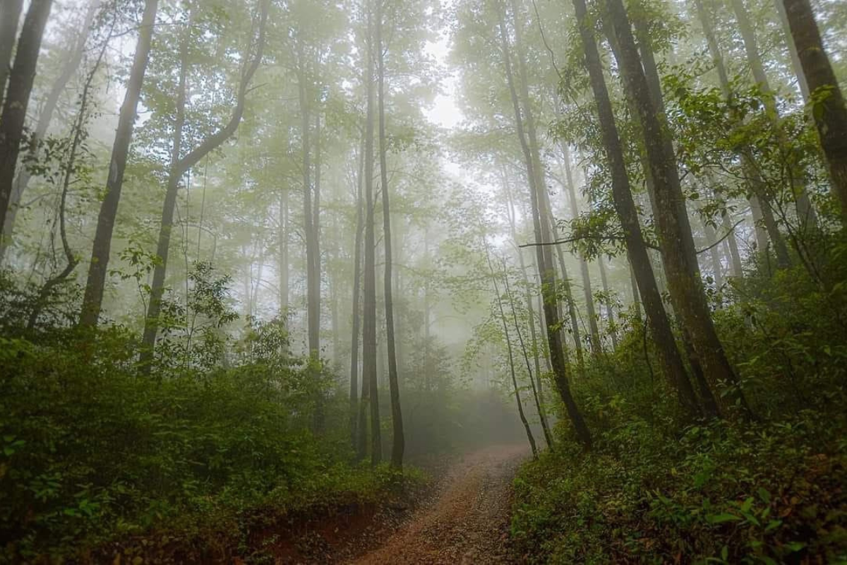 imagen-cuerpo imagen-cuerpo