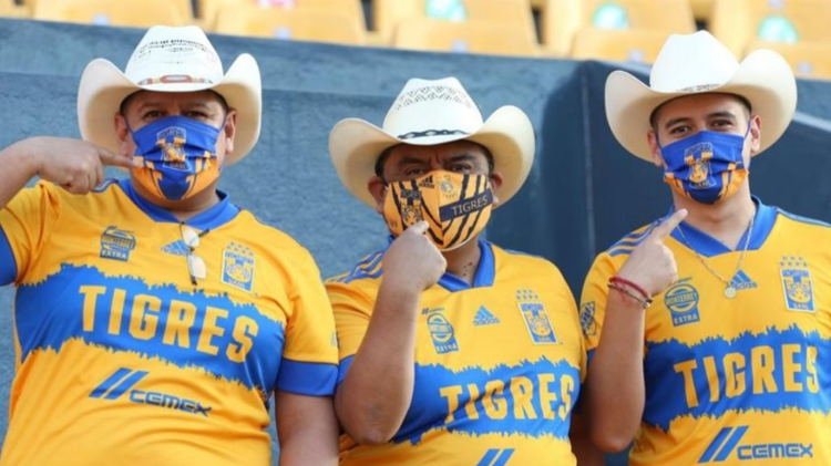 imagen-cuerpo imagen-cuerpo