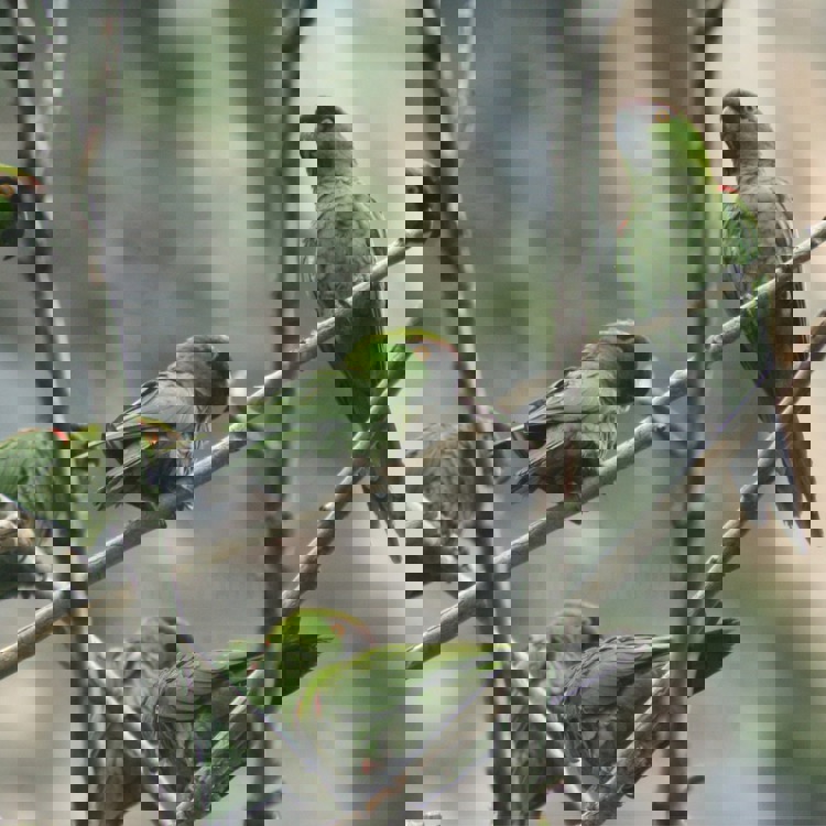 imagen-cuerpo imagen-cuerpo