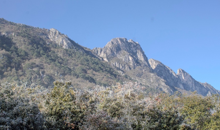 imagen-cuerpo imagen-cuerpo