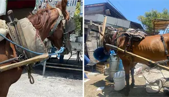 Adiós a los carretoneros en Guadalupe, así recogerán la basura ahora