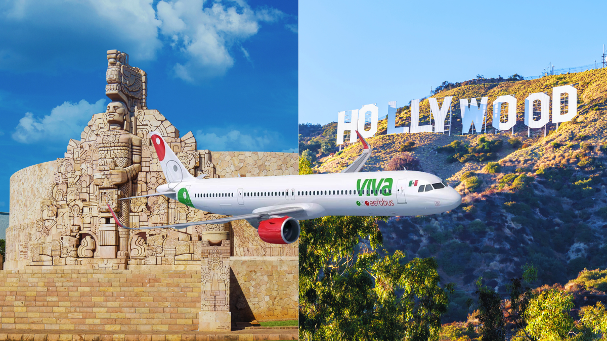 imagen-cuerpo imagen-cuerpo