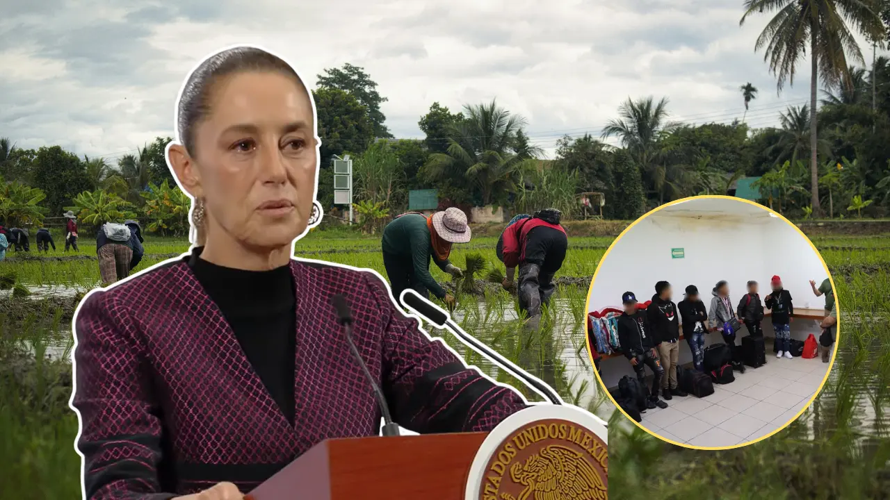 Foto: Canva | Gobierno de México | DIF Ahome