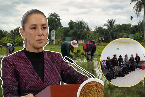 Sheinbaum confirma investigación por explotación infantil en los campos de BCS, tras rescate de 24 niños Sheinbaum confirma investigación por explotación infantil en los campos de BCS, tras rescate de 24 niños