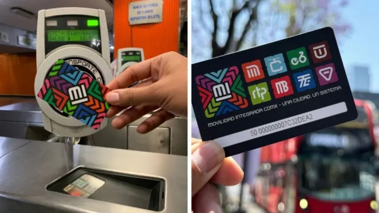 imagen-cuerpo imagen-cuerpo