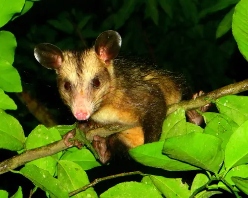 imagen recuadro imagen recuadro