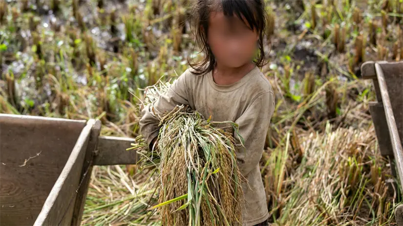 imagen recuadro Foto: Canva