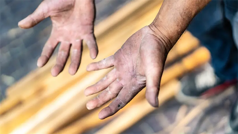 imagen recuadro Foto: Canva