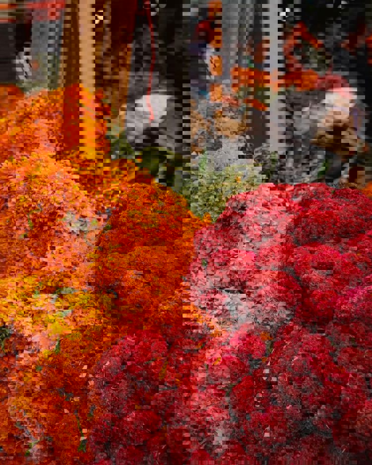 imagen-cuerpo imagen-cuerpo