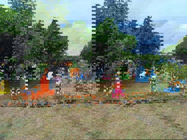 imagen-cuerpo imagen-cuerpo