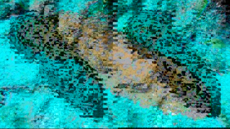 imagen-cuerpo imagen-cuerpo