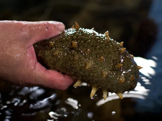 imagen-cuerpo imagen-cuerpo