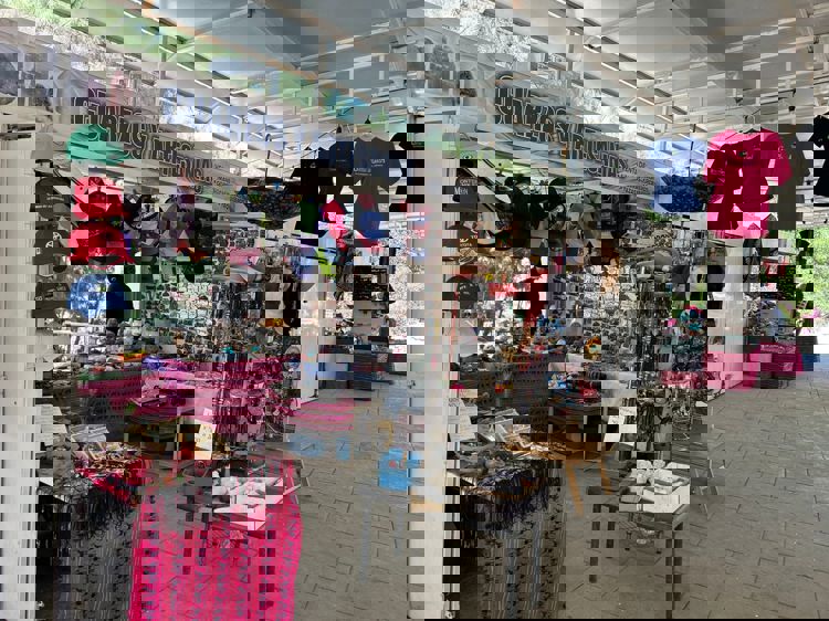 imagen-cuerpo imagen-cuerpo