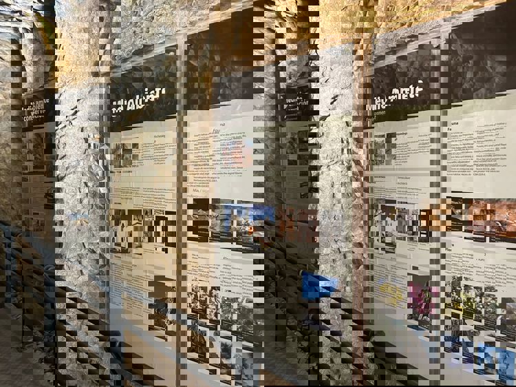 imagen-cuerpo imagen-cuerpo