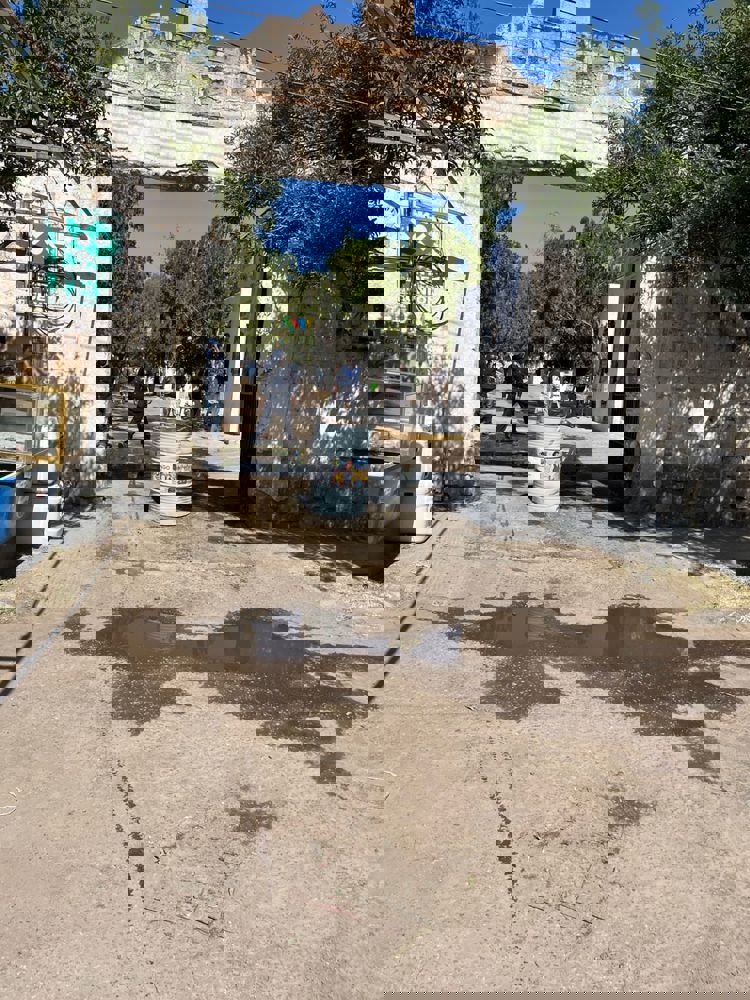 imagen-cuerpo imagen-cuerpo