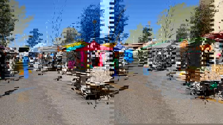 imagen-cuerpo imagen-cuerpo