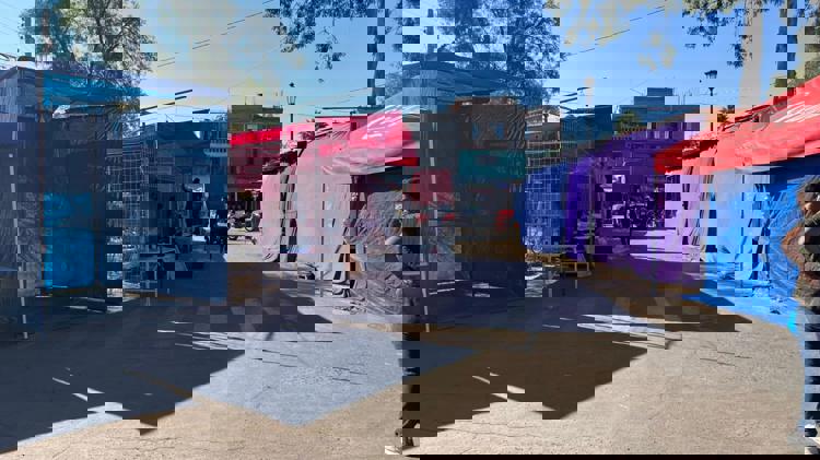 imagen-cuerpo imagen-cuerpo