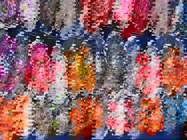 imagen-cuerpo imagen-cuerpo