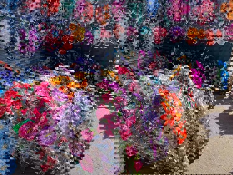 imagen-cuerpo imagen-cuerpo