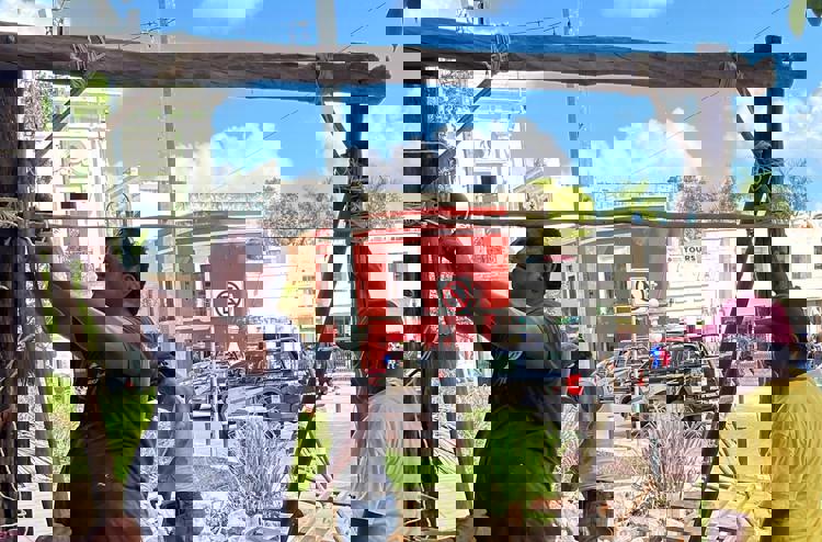 imagen-cuerpo imagen-cuerpo