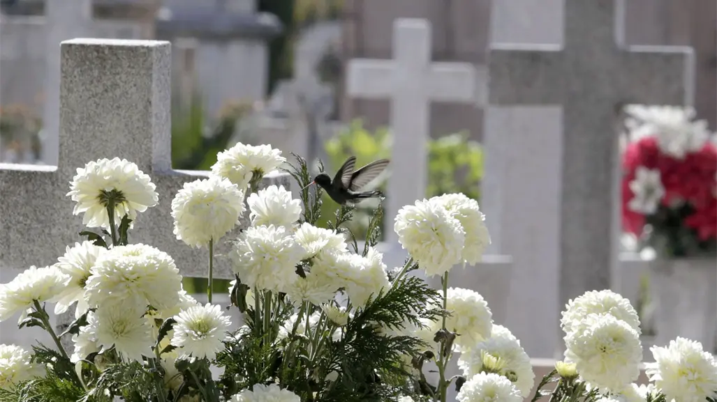 Día de Muertos: ¿cuáles son las principales causas de muerte en los mexicanos, según INEGI?