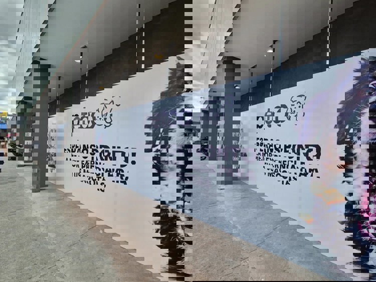 imagen-cuerpo imagen-cuerpo