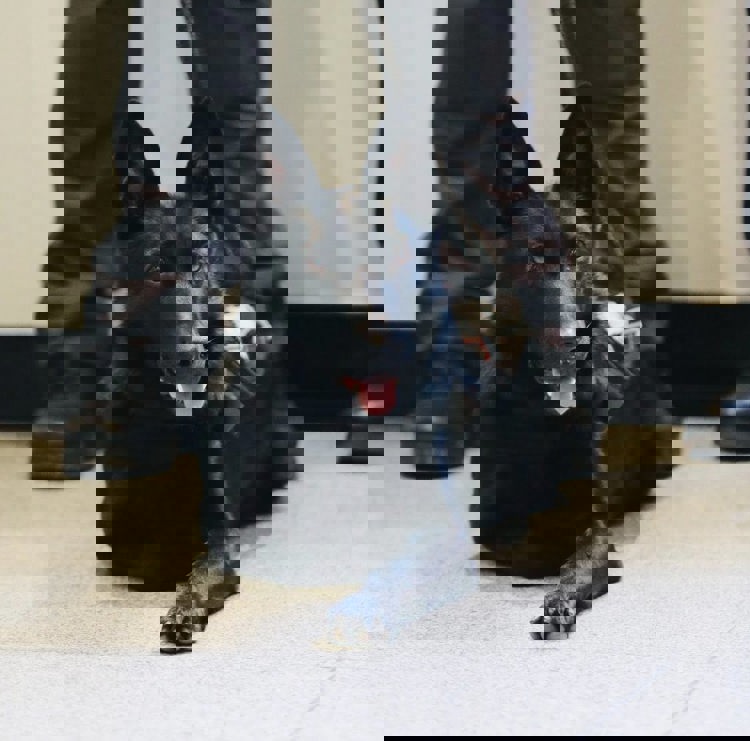 imagen-cuerpo imagen-cuerpo