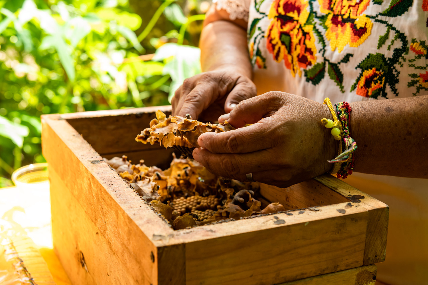 imagen-cuerpo imagen-cuerpo