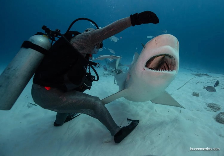 imagen-cuerpo imagen-cuerpo