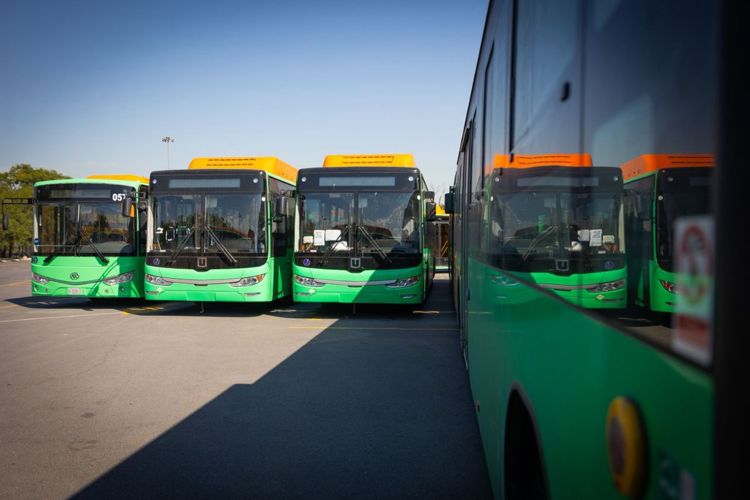 imagen-cuerpo imagen-cuerpo