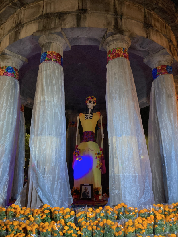 imagen-cuerpo imagen-cuerpo