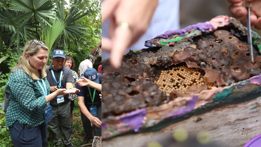 Chefs internacionales visitan cooperativas rurales en Mérida en el marco de la asamblea gastronómica de la UNESCO