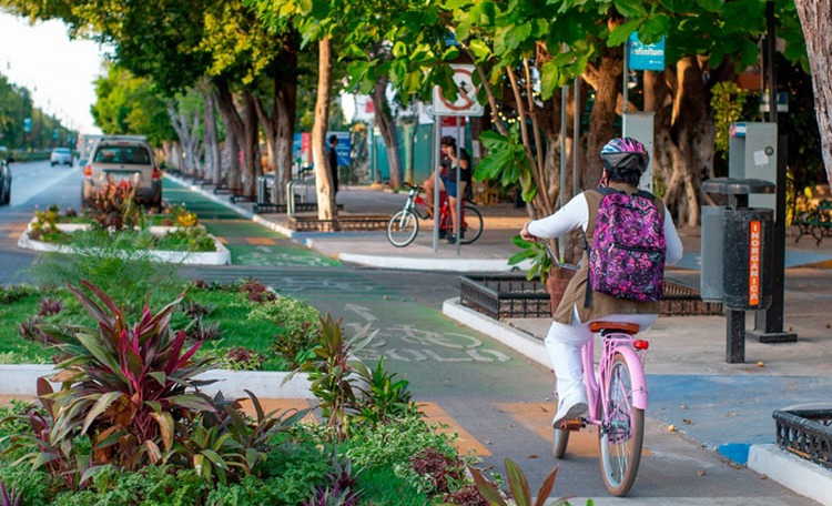 imagen-cuerpo imagen-cuerpo