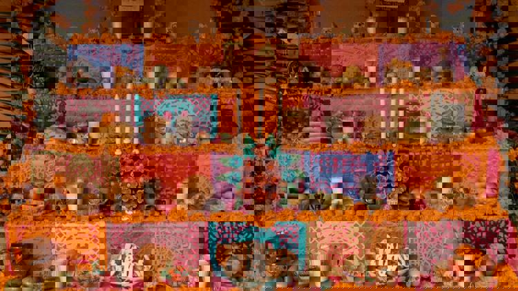 imagen-cuerpo imagen-cuerpo