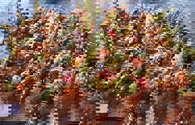 imagen-cuerpo imagen-cuerpo