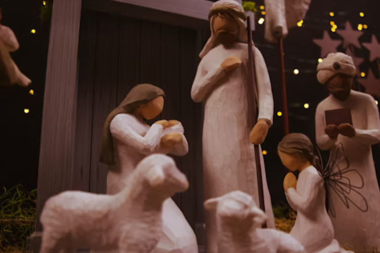 imagen-cuerpo imagen-cuerpo