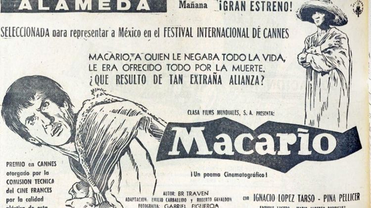 imagen-cuerpo imagen-cuerpo