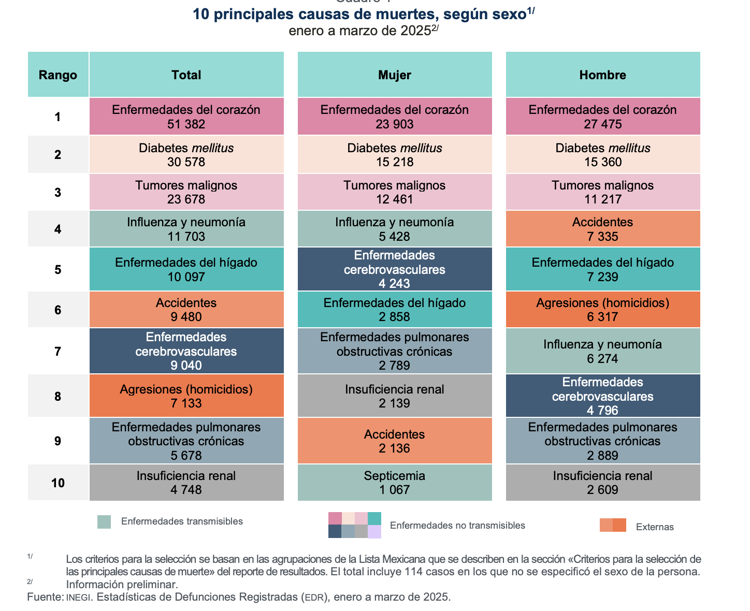 imagen-cuerpo imagen-cuerpo