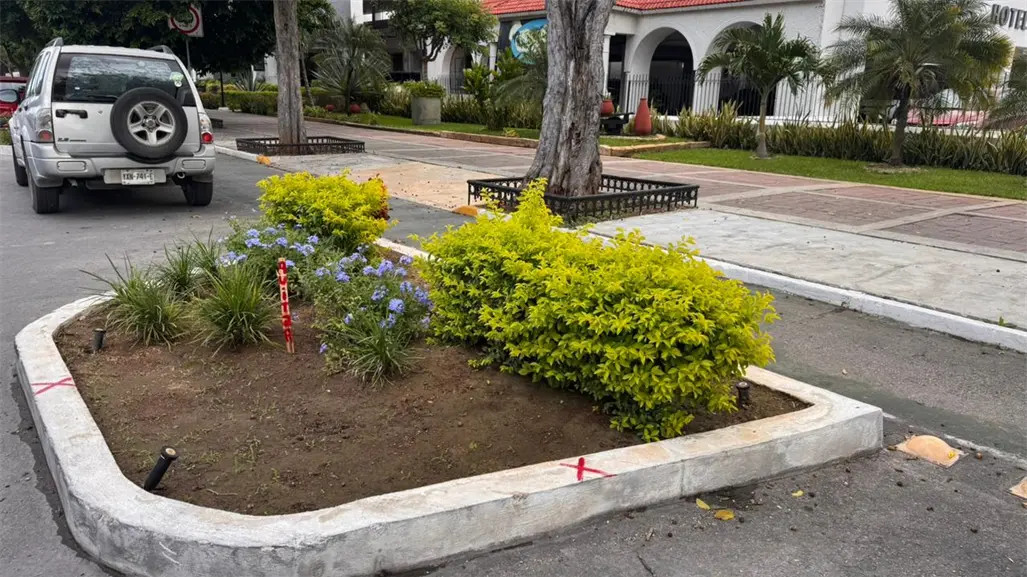 Marcas en jardineras del Paseo de Montejo avivan el debate sobre movilidad y seguridad vial en Mérida