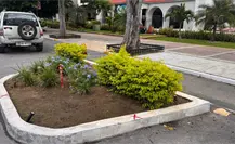 Marcas en jardineras del Paseo de Montejo avivan el debate sobre movilidad y seguridad vial en Mérida