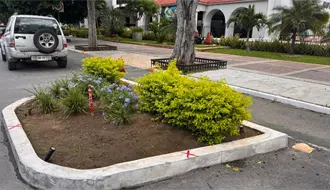 Marcas en jardineras del Paseo de Montejo avivan el debate sobre movilidad y seguridad vial en Mérida
