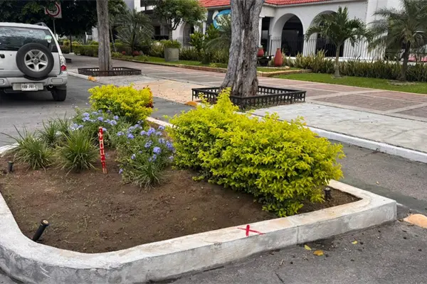 Marcas en jardineras del Paseo de Montejo avivan el debate sobre movilidad y seguridad vial en Mérida Marcas en jardineras del Paseo de Montejo avivan el debate sobre movilidad y seguridad vial en Mérida