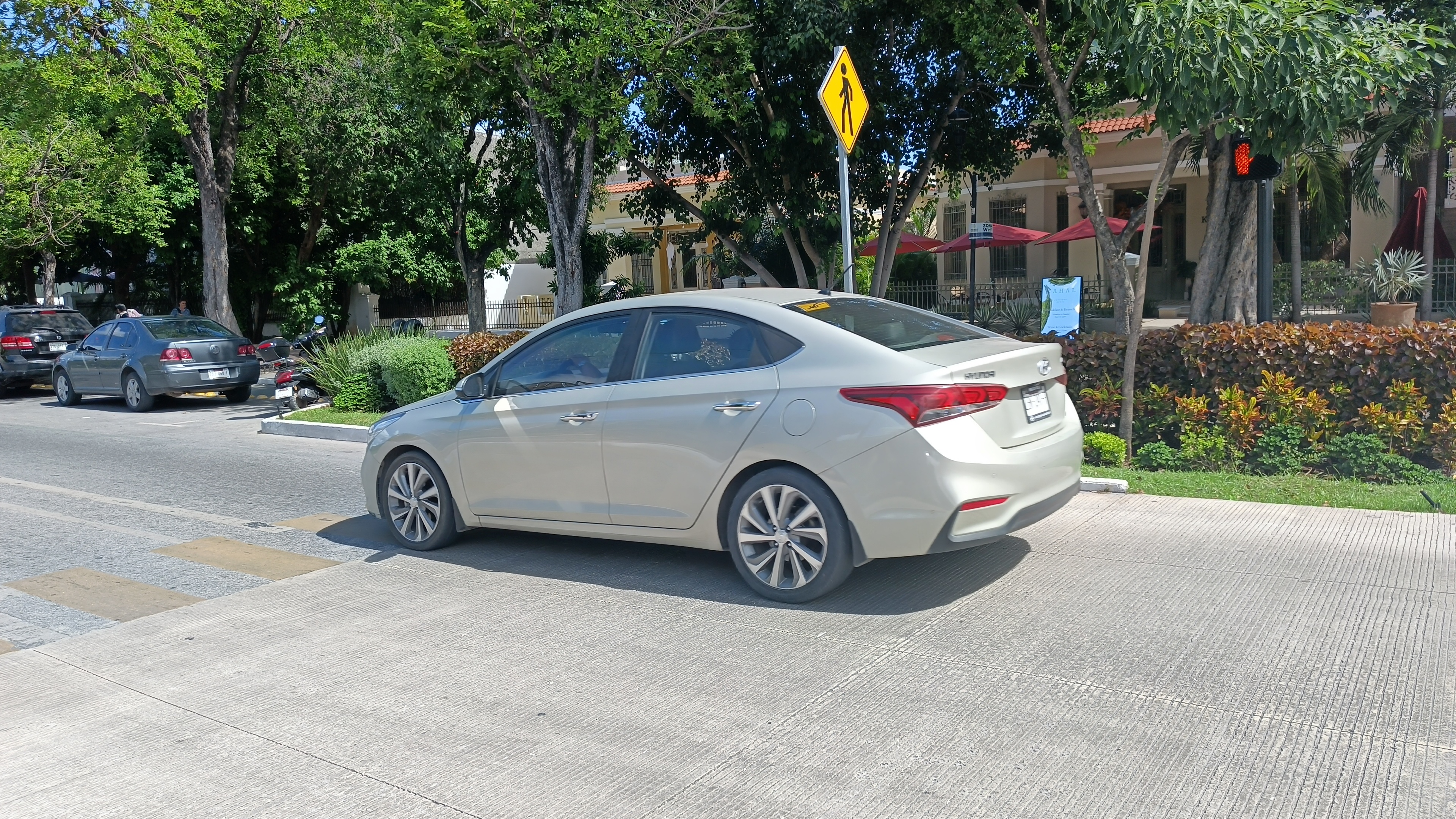 imagen-cuerpo imagen-cuerpo