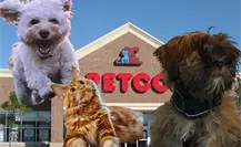 ¡Ya abrió PETCO en Ciudad Victoria! , ¿Qué productos puedes encontrar?