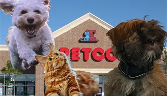 ¡Ya abrió PETCO en Ciudad Victoria! , ¿Qué productos puedes encontrar?