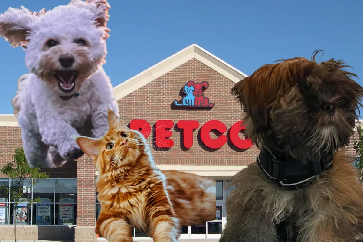 Con la apertura de Petco en Ciudad Victoria, los dueños de mascotas pueden acceder a diversos productos y servicios. Aquí te contamos más.