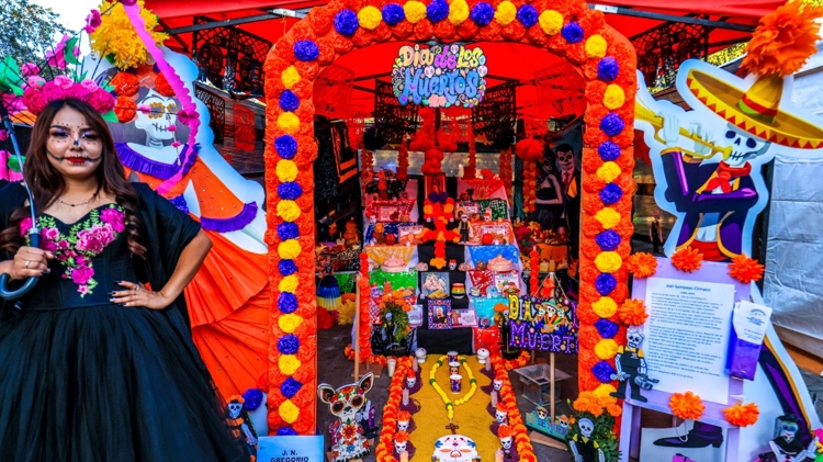 imagen-cuerpo imagen-cuerpo