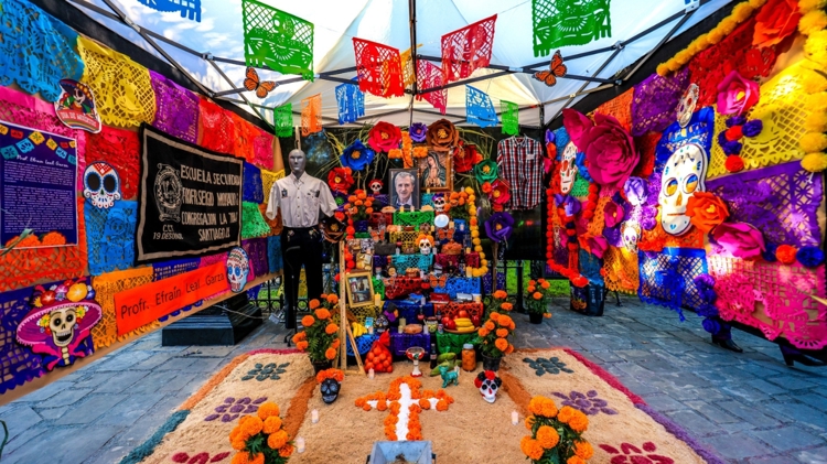 imagen-cuerpo imagen-cuerpo